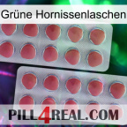 Grüne Hornissenlaschen 19